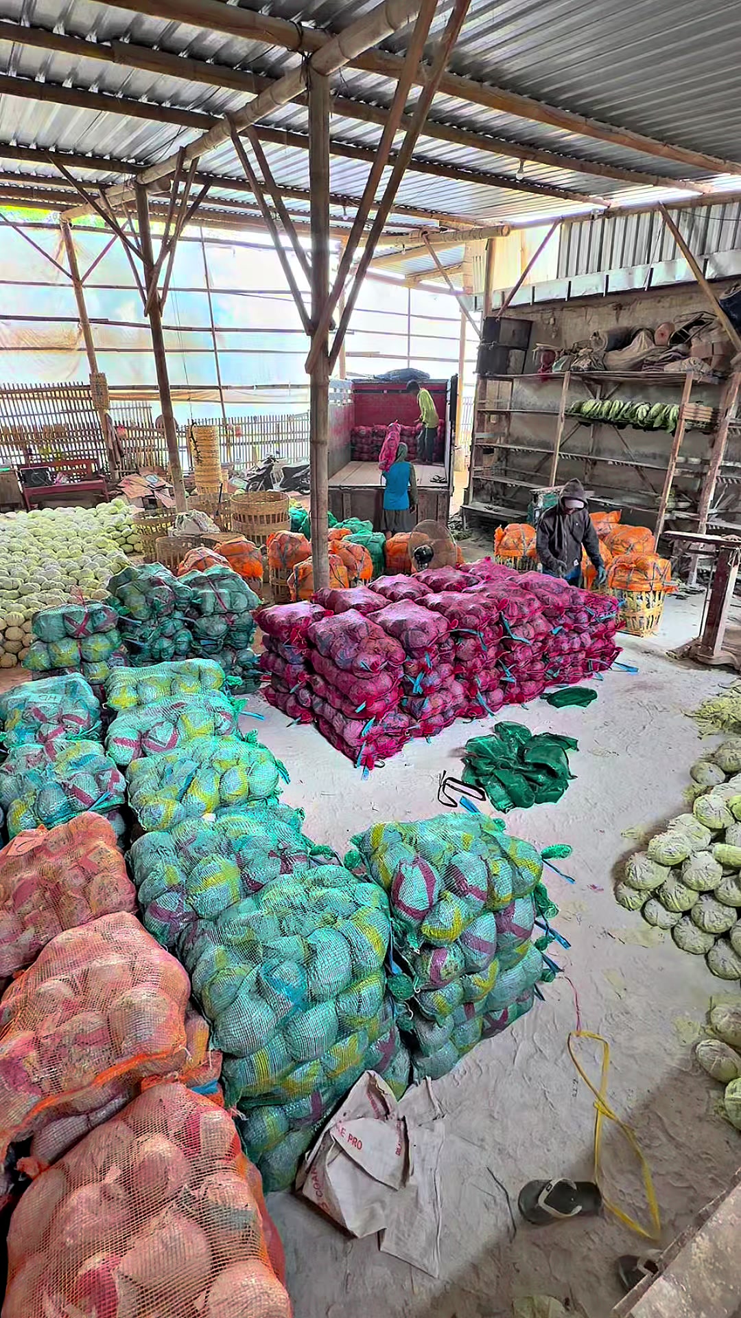@MEGA TRANS SAYUR MALANG