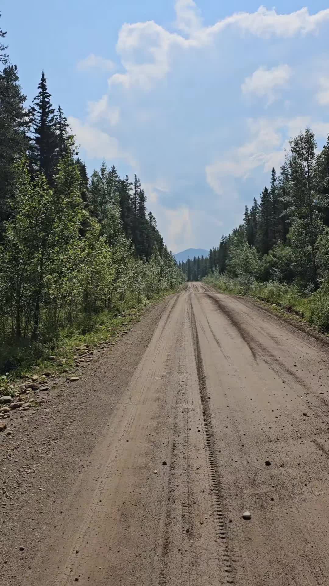 @Flying Cowboy🇨🇦