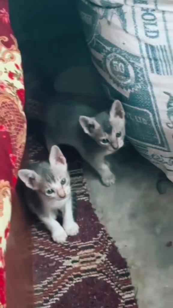@Aanchal🔮🧿🧿
