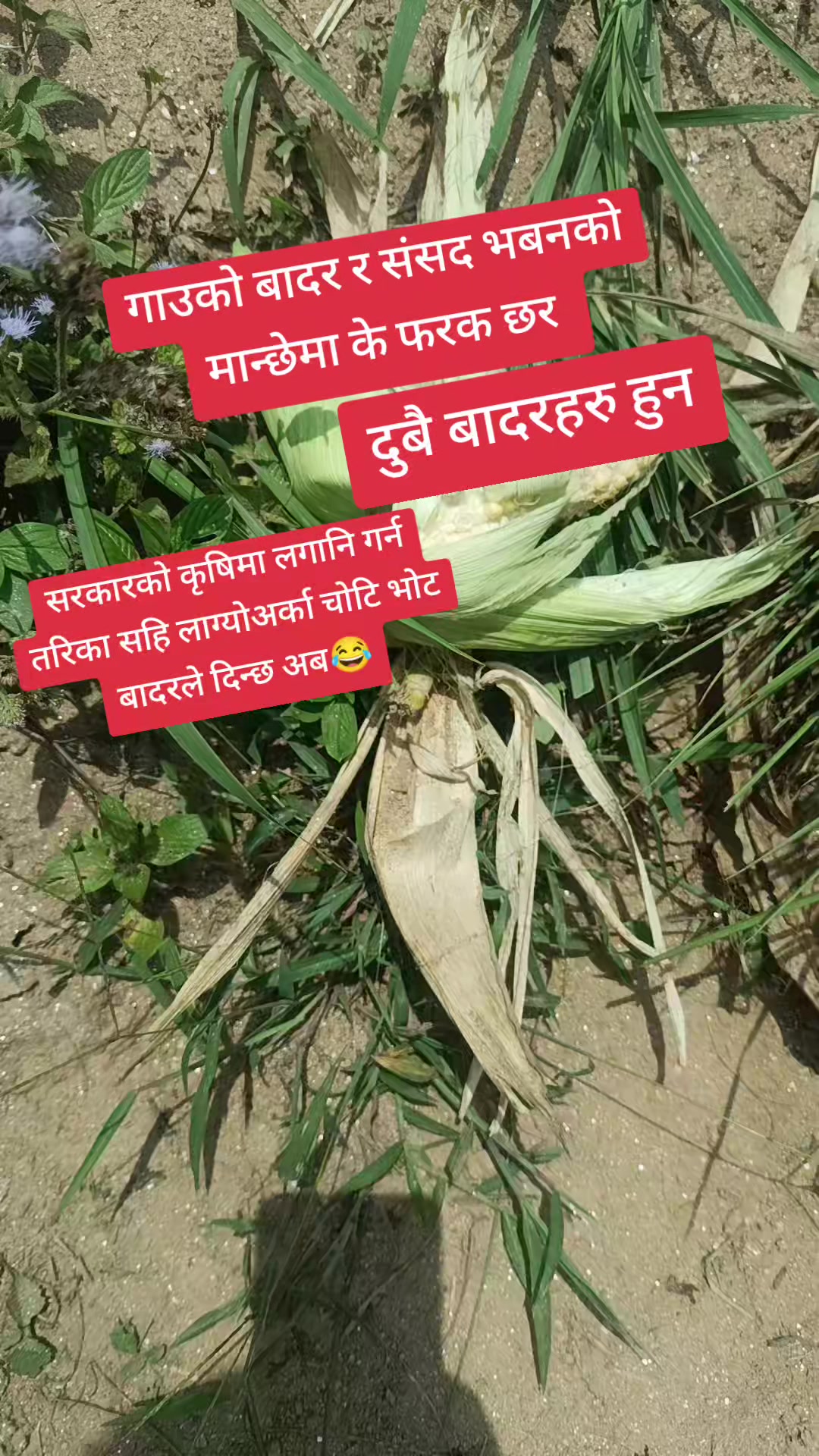 @💗Nava💗 Razz💘 Mishra❤️