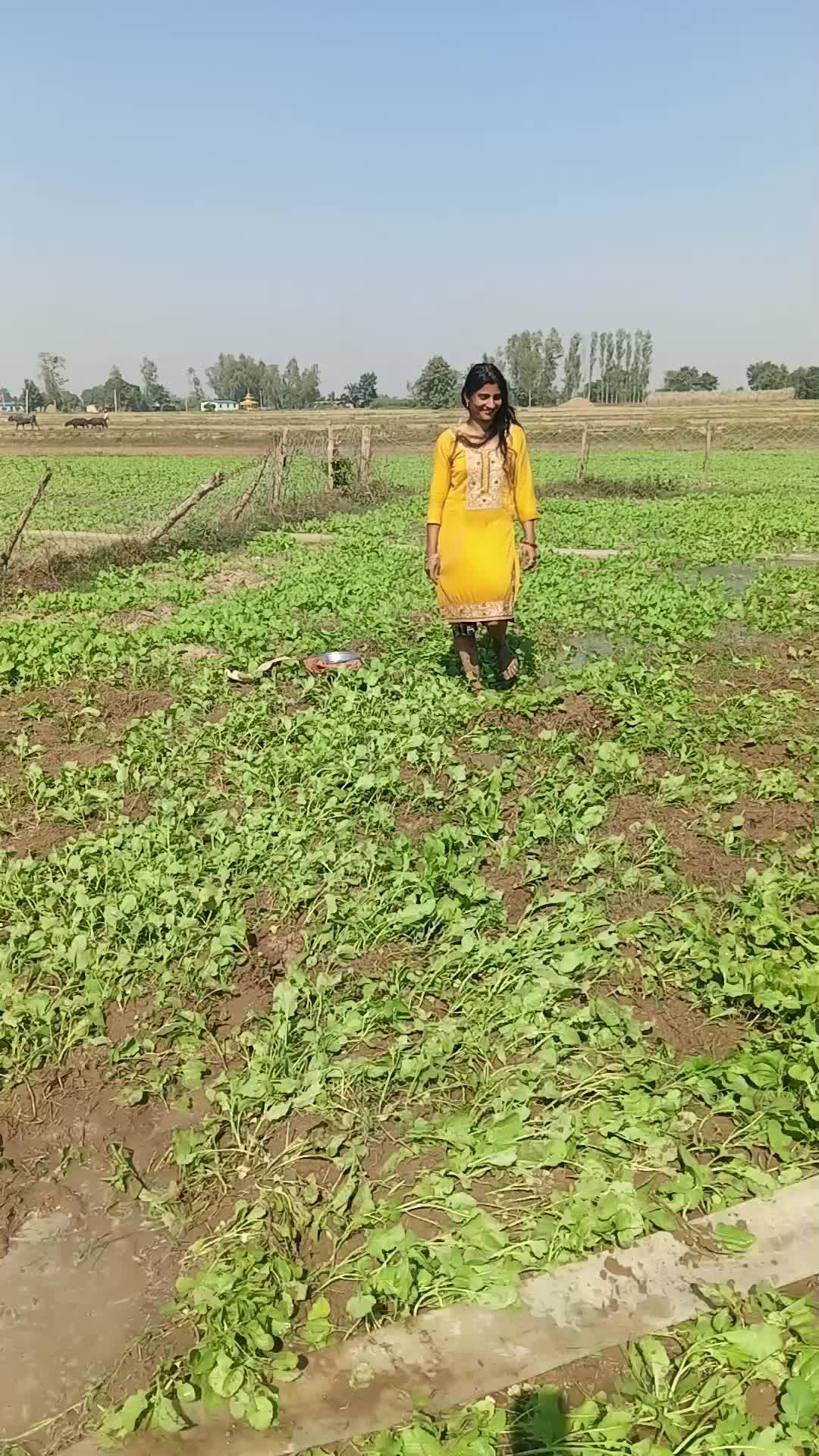 @suman sharma