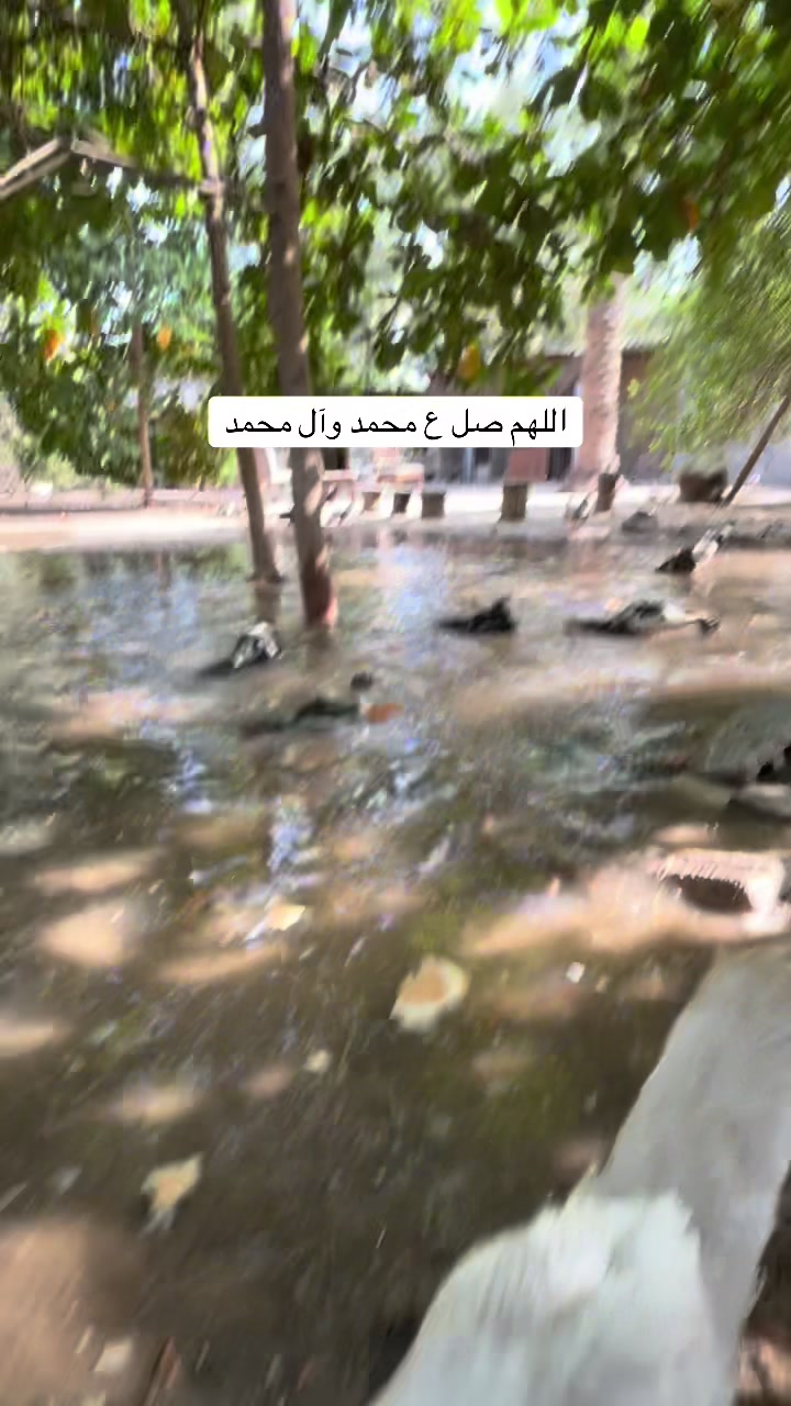 @ashkaltbiah
