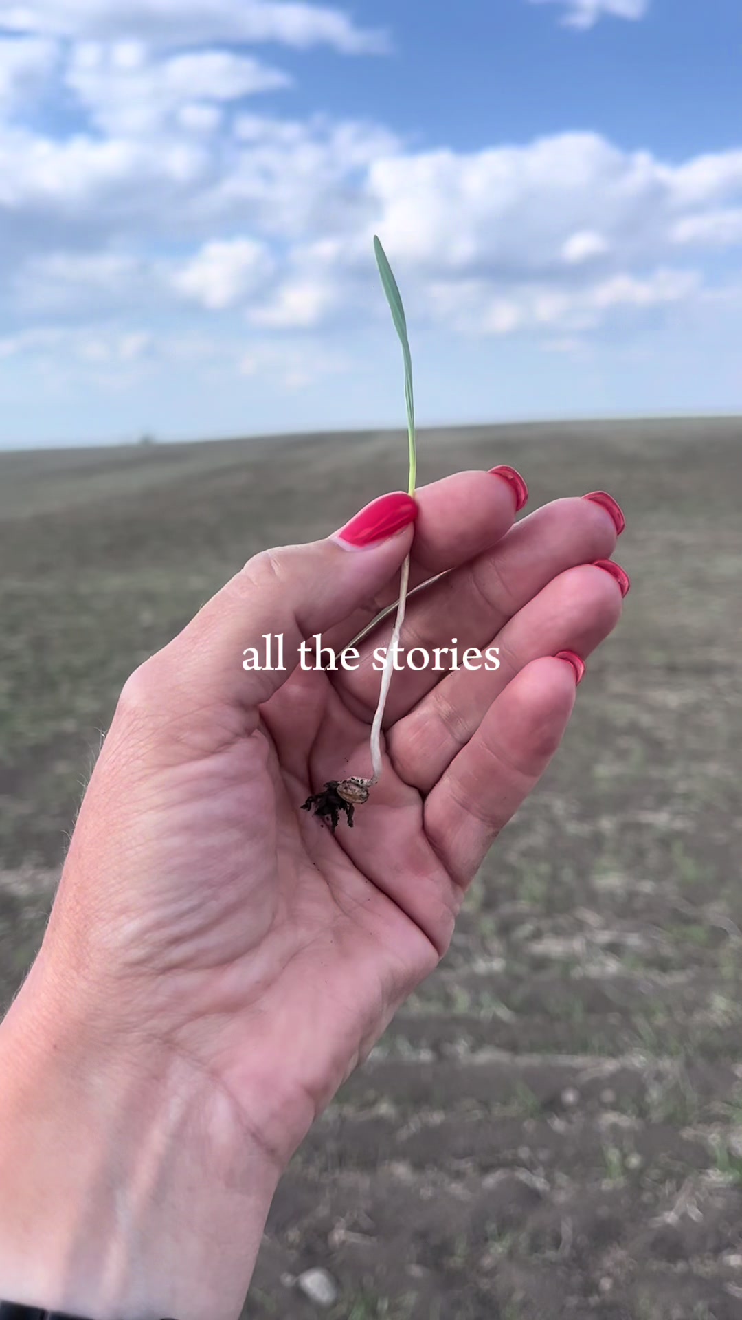 @Farm Geek