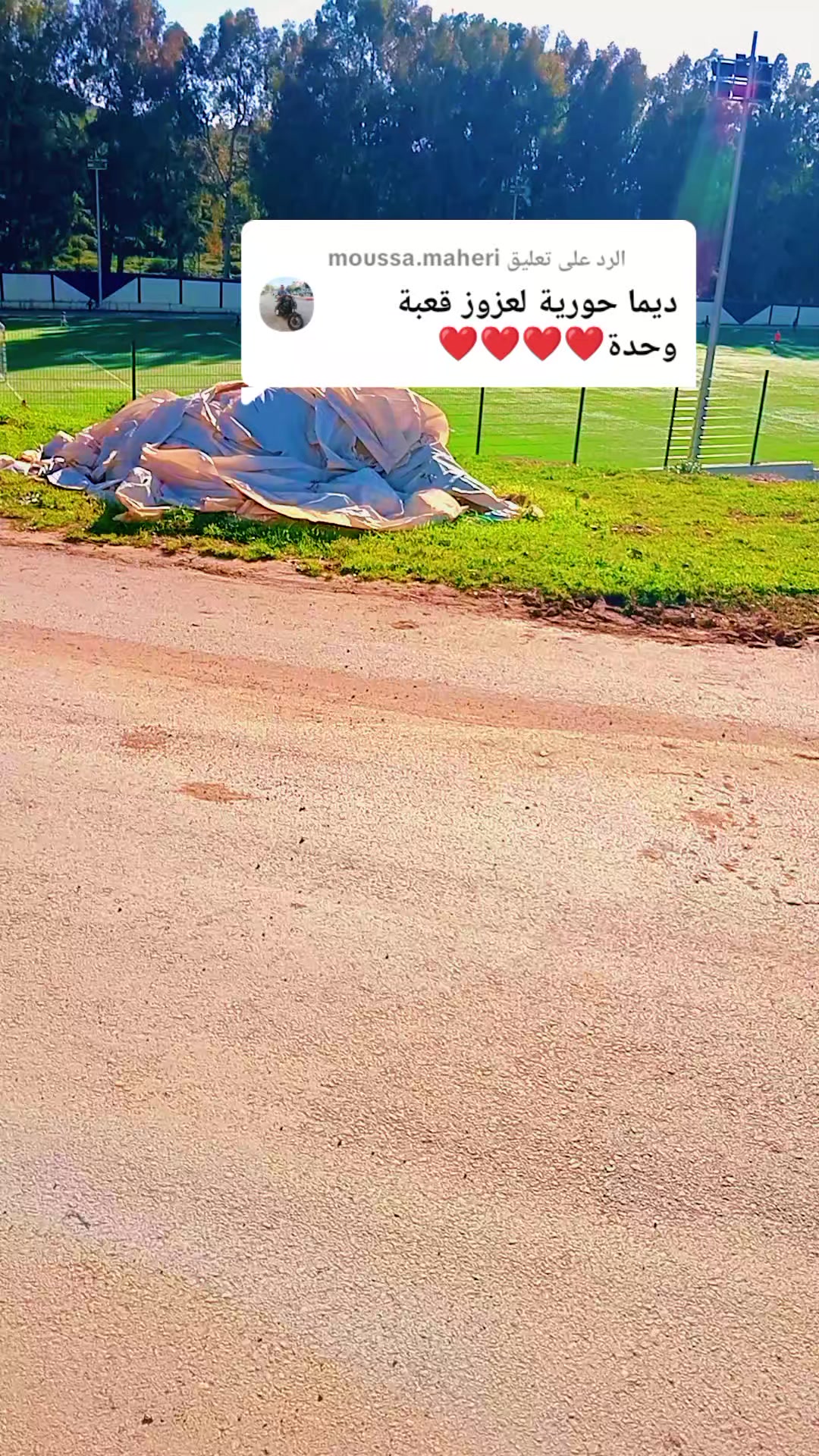 @نوارة 41