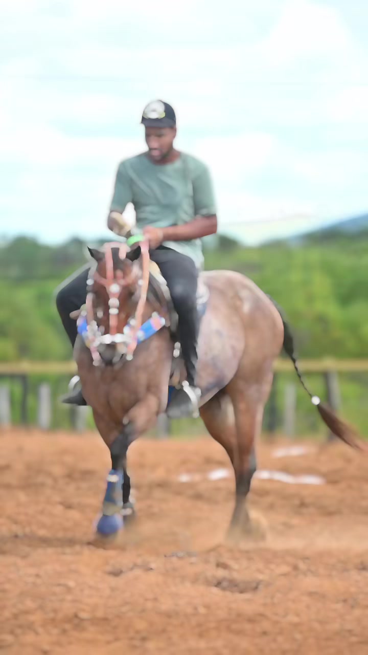@Mário Gomes