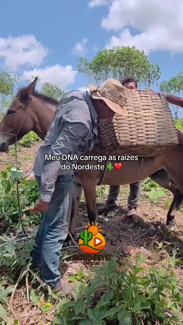 @nordesteioficial