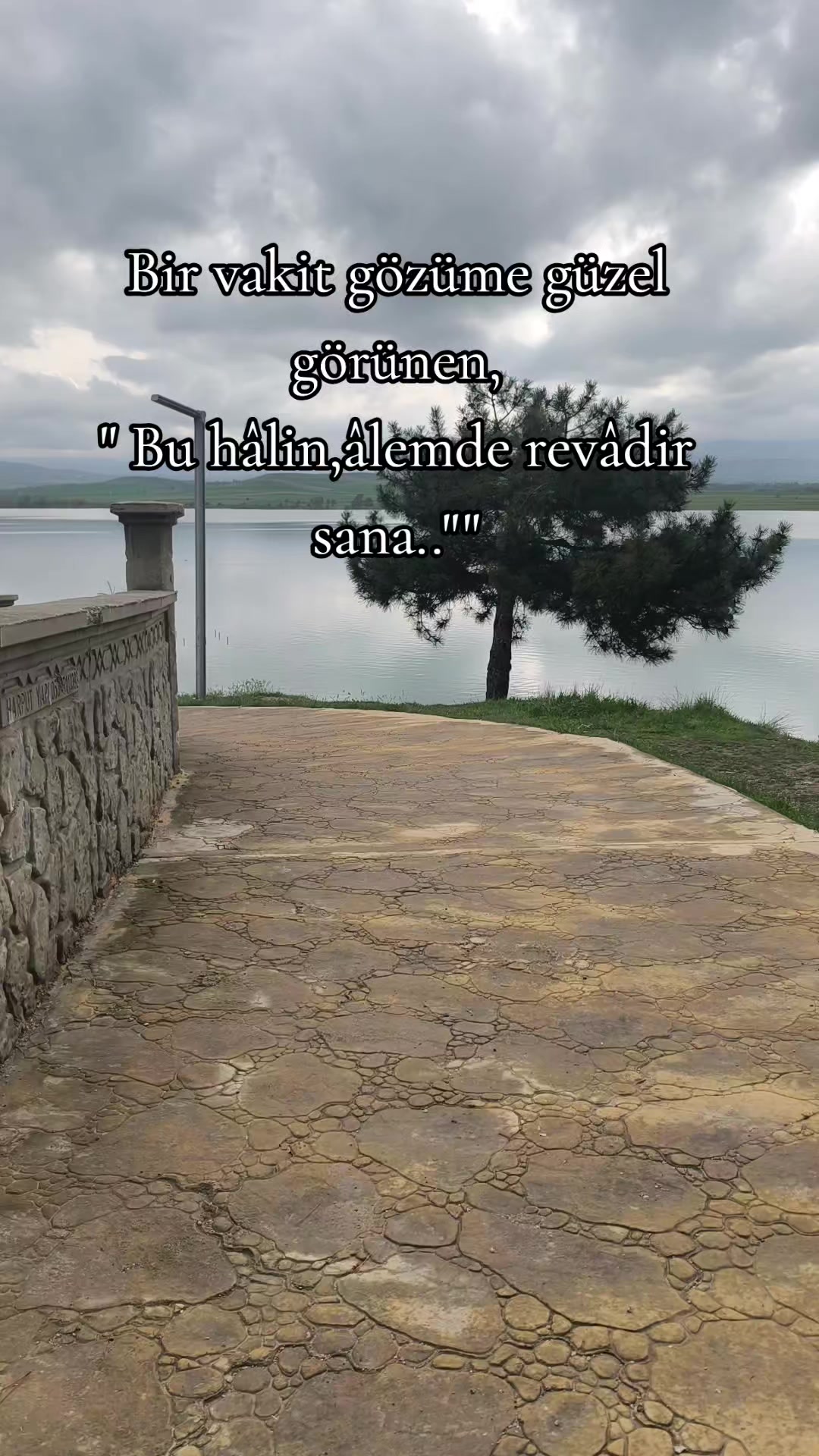 @ミ★ Ne&Ccedil;E🍁 ZOZAN ★彡