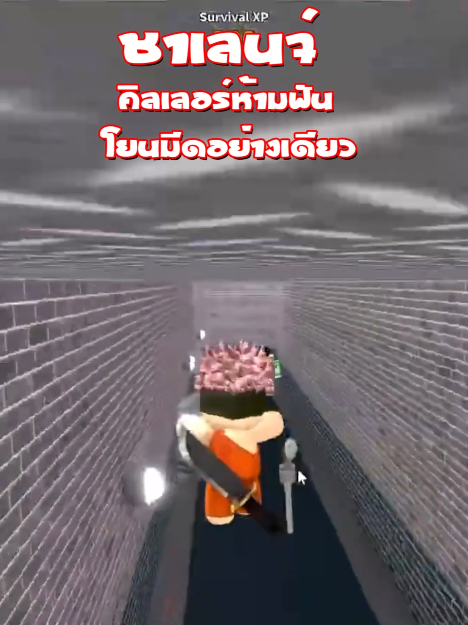 @CATSLAM