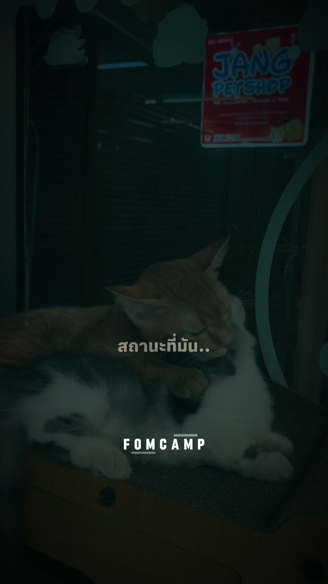 @แจง