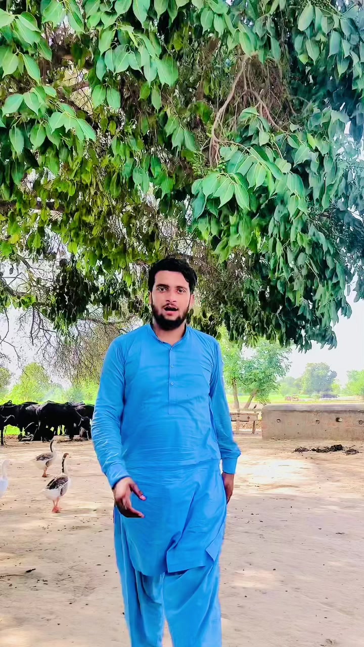 @Adnan_72
