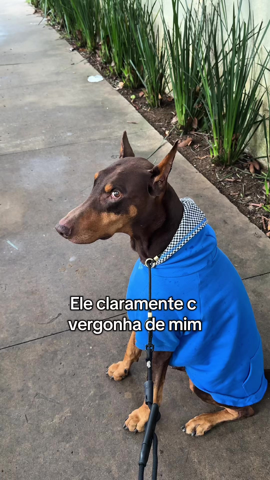 @Gabriel Di Garcia