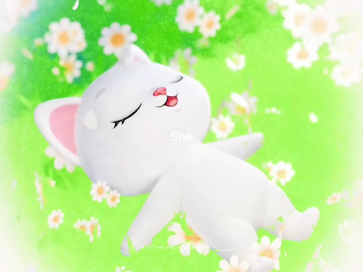 @AnaaJSYᥫ᭡.