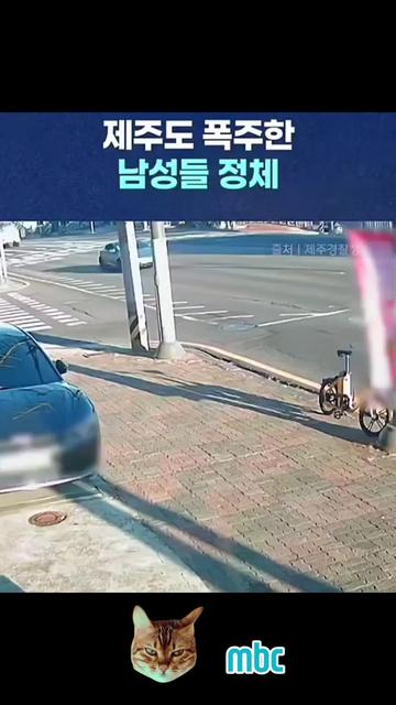 @🌺시라소니[본]🌺