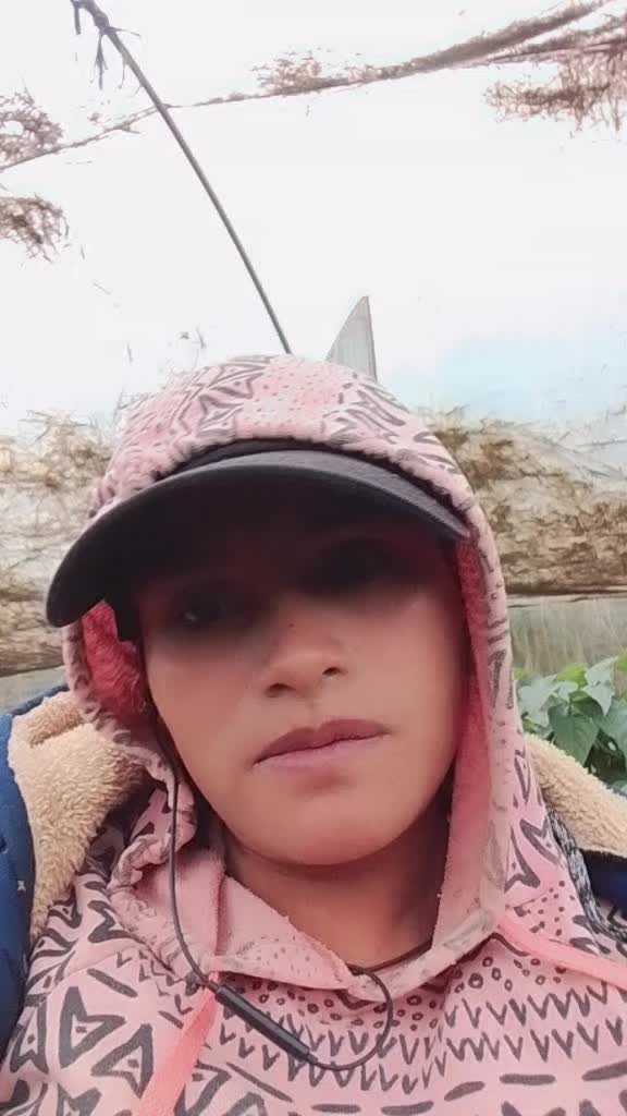 @Micaela pulex