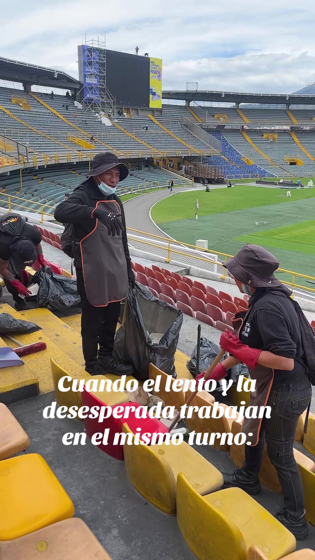 @Prisma mantenimiento