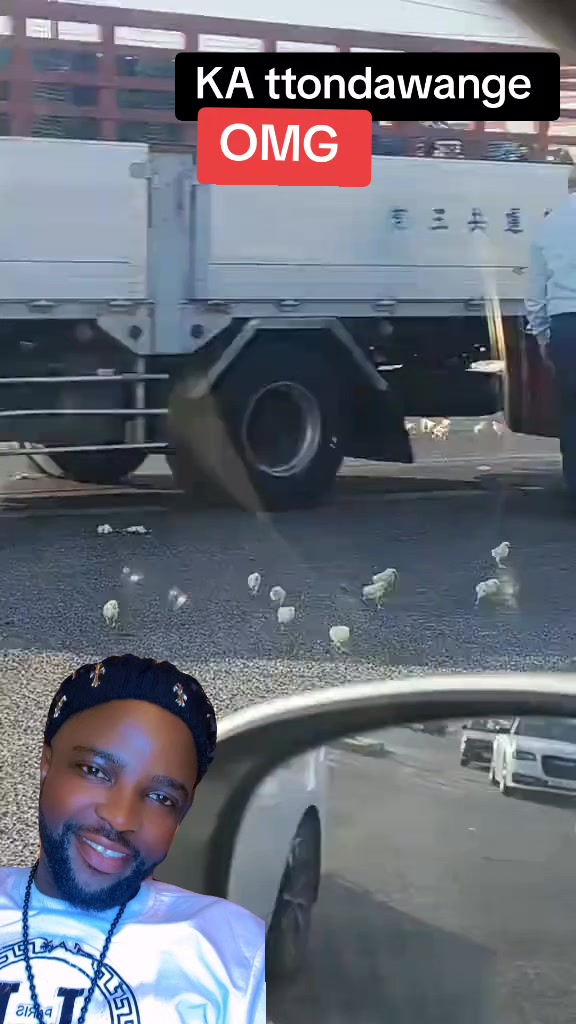 @commenter 256