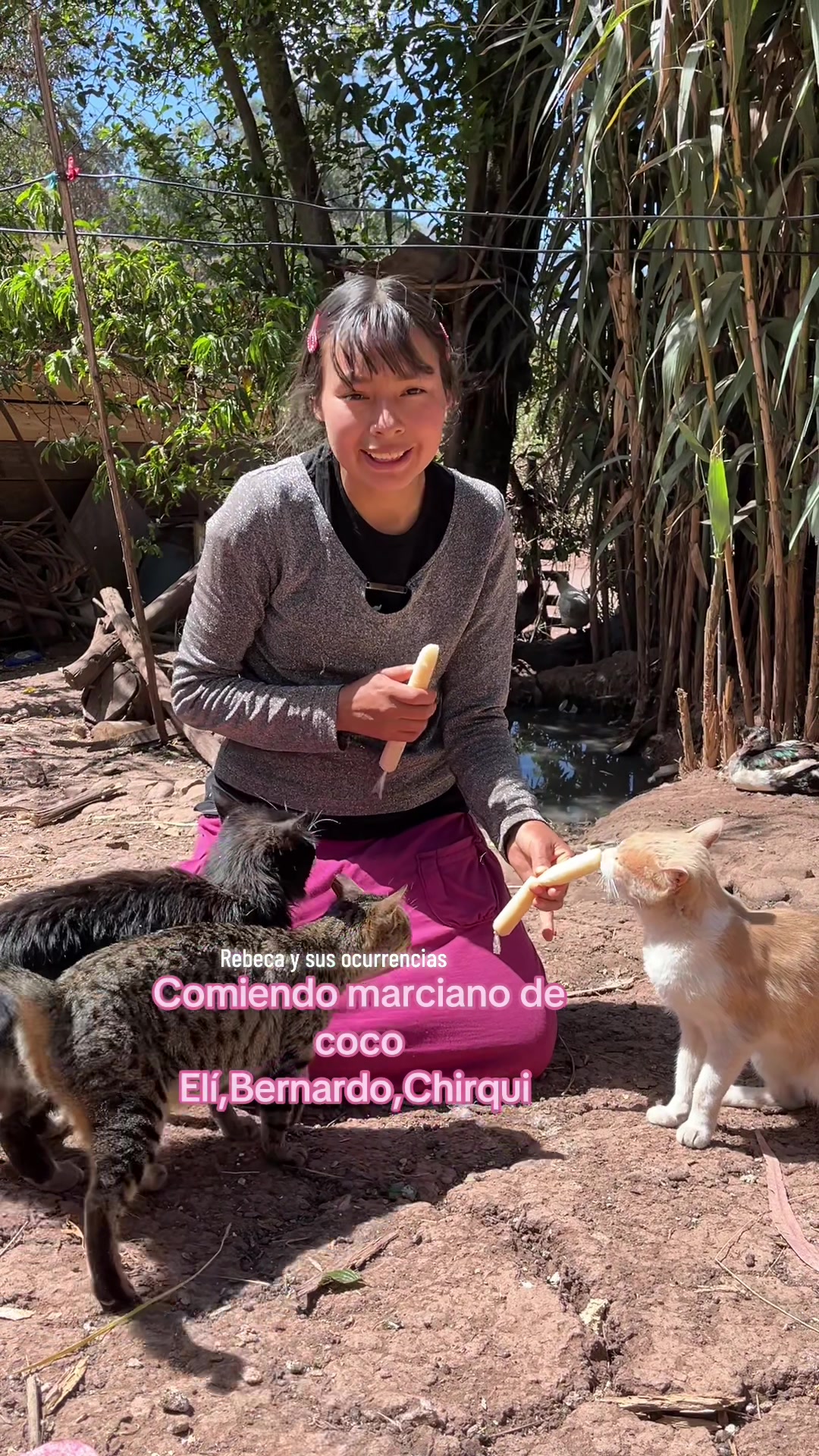 @🐈Rebeca y sus ocurrencias