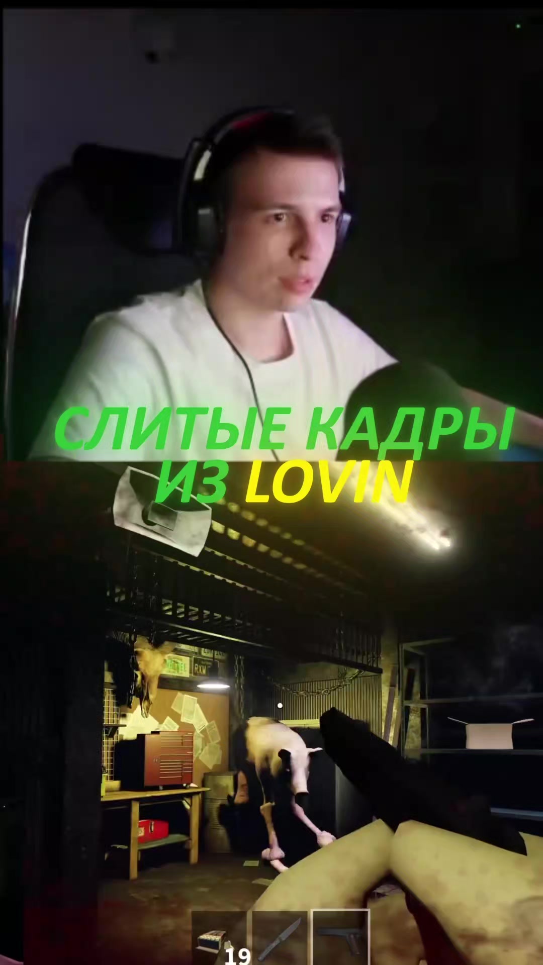 @тгк: нарезки basher