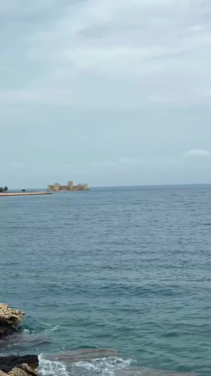 @Muratcan Gündoğdu