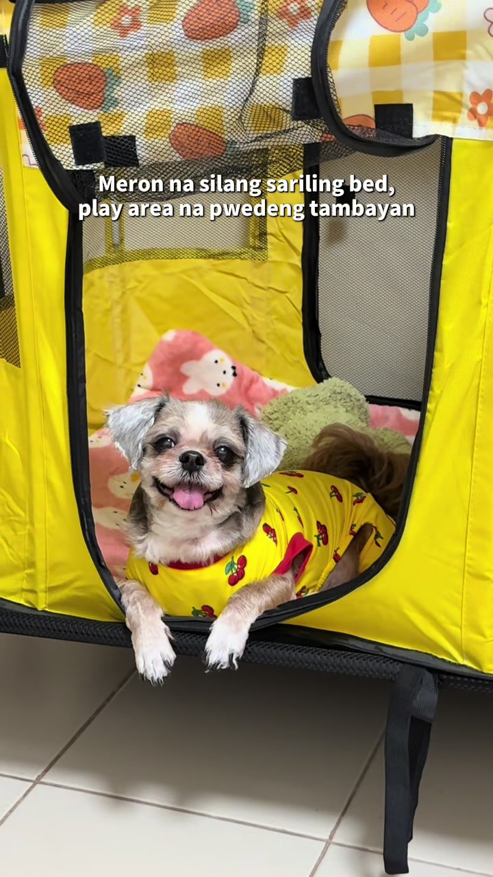 @Nella and Lucky the Shih🐶