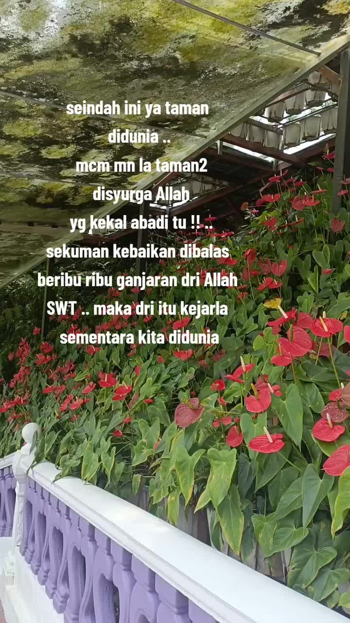 @anginygmembadai