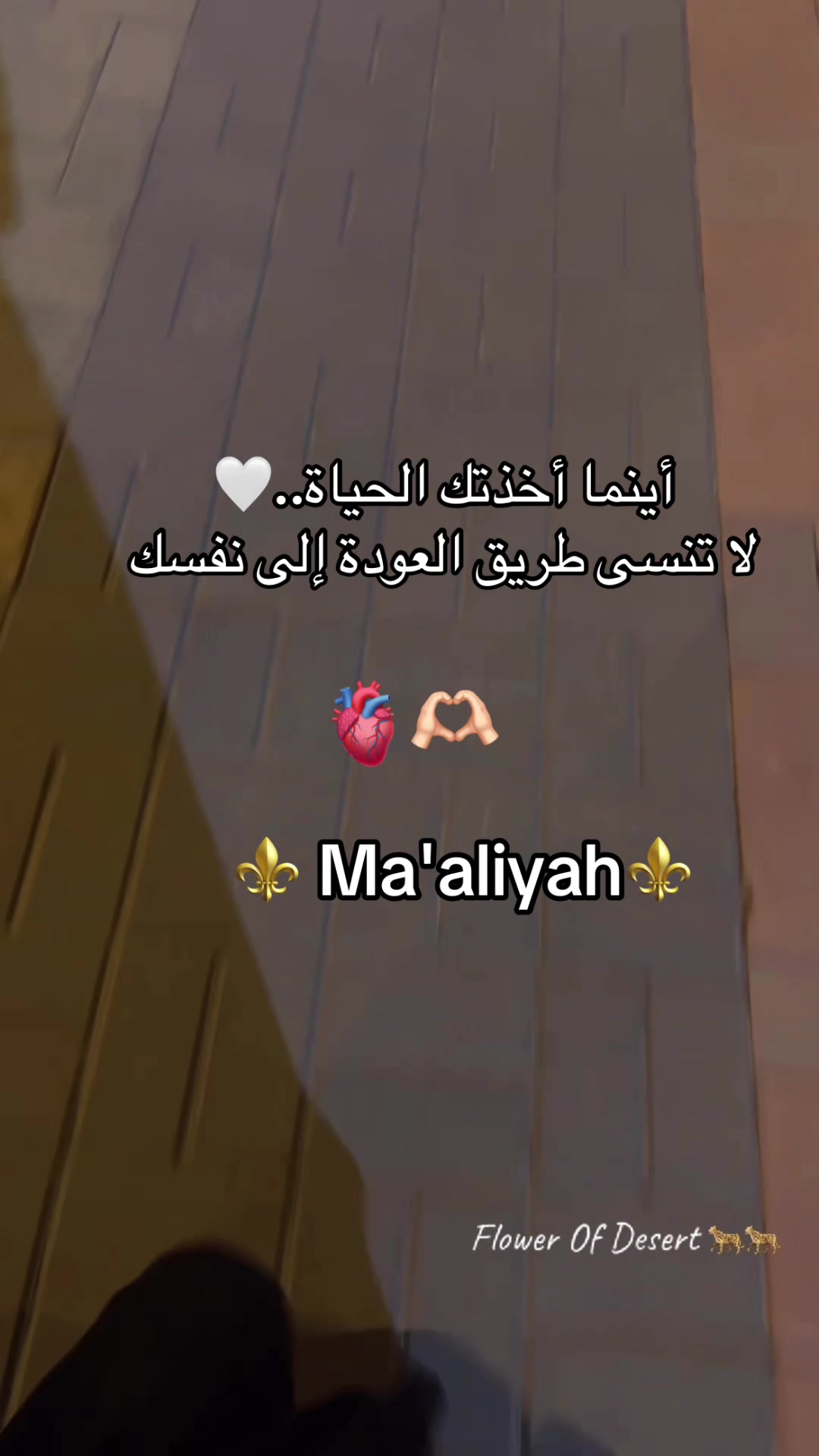 @Ma'aliyah🐆🐆🌕
