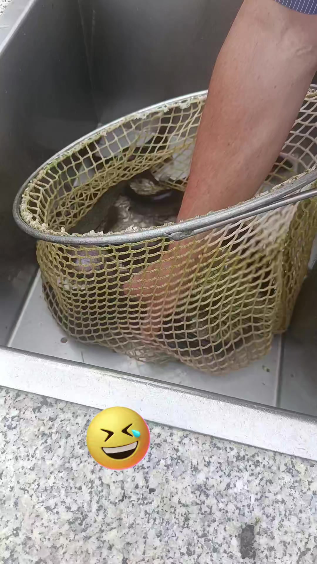 @๐ฎ๐น๐๐๐
ฐ๐๐
ธ๐๐๐๐ต๐ช