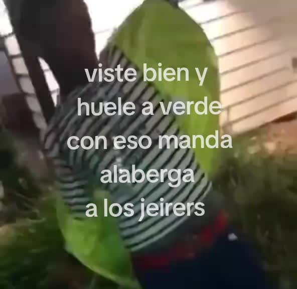 @gallardo