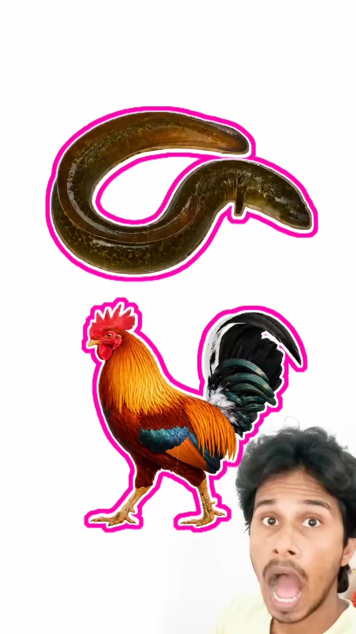 @PRAJAPATI