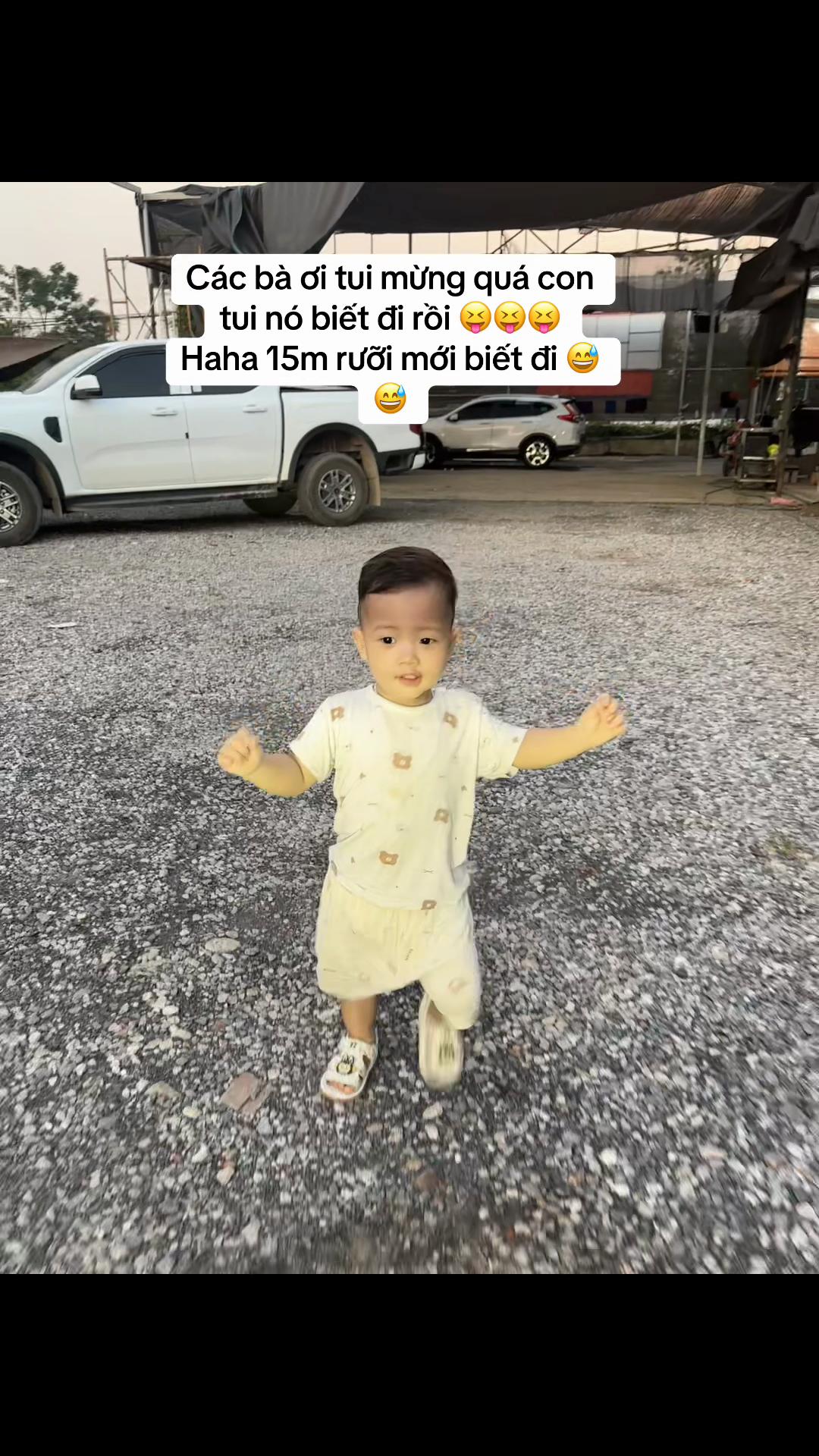 @Cá Heo Cá Voi