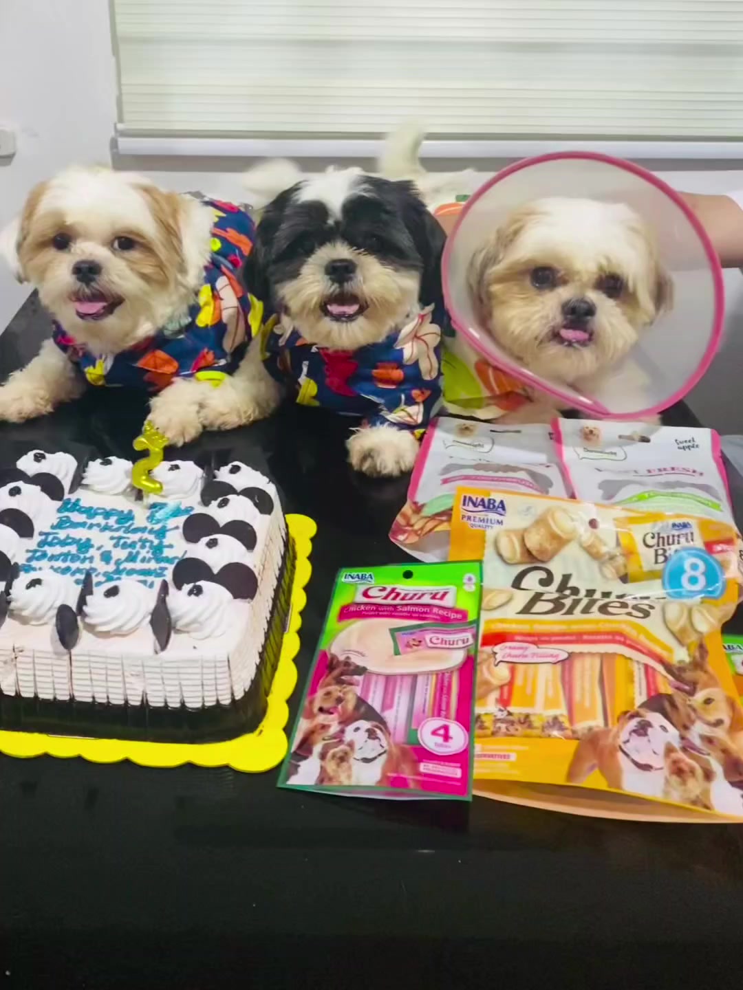 @PawmilyaSweettzu & Furbuddies