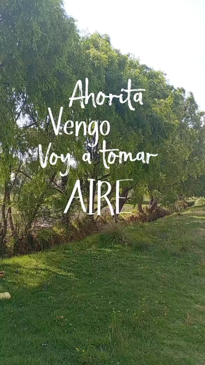 @Dinochayane