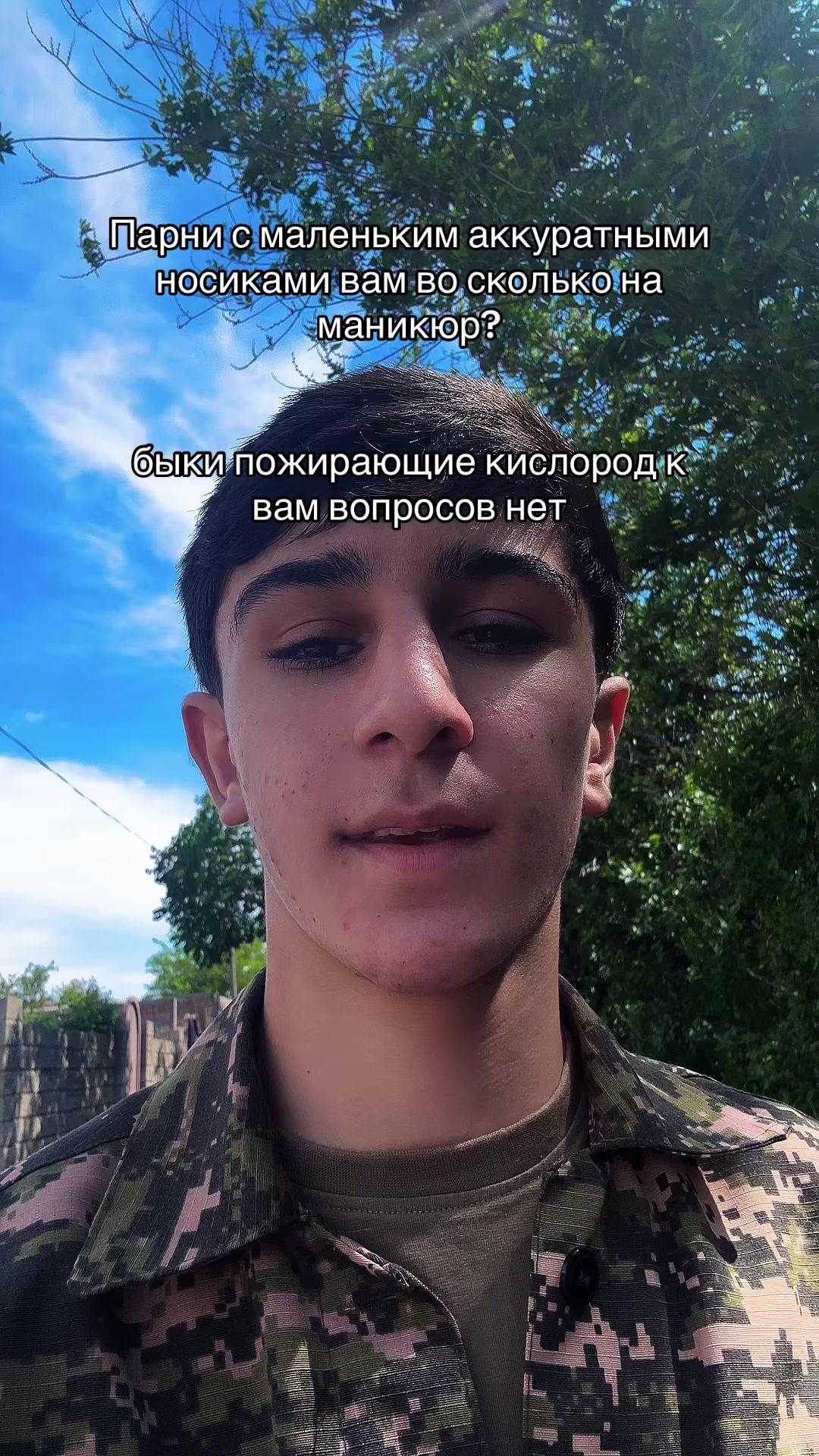 @aliev