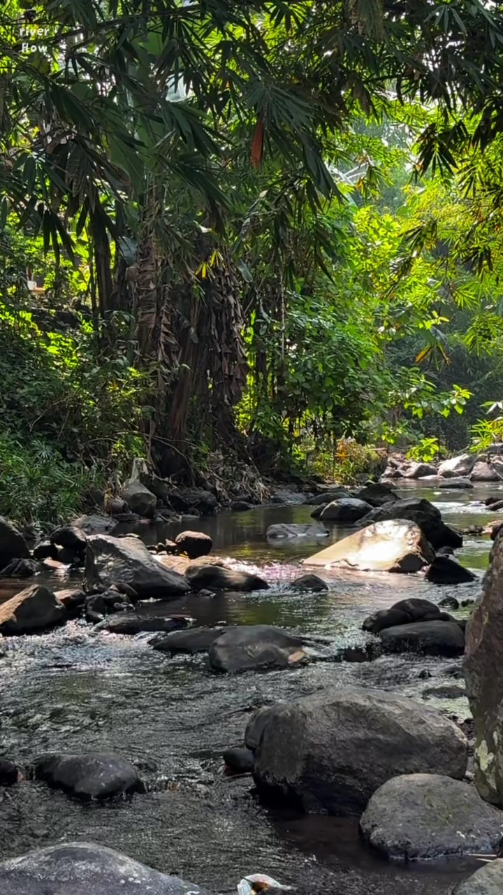 @River Flow