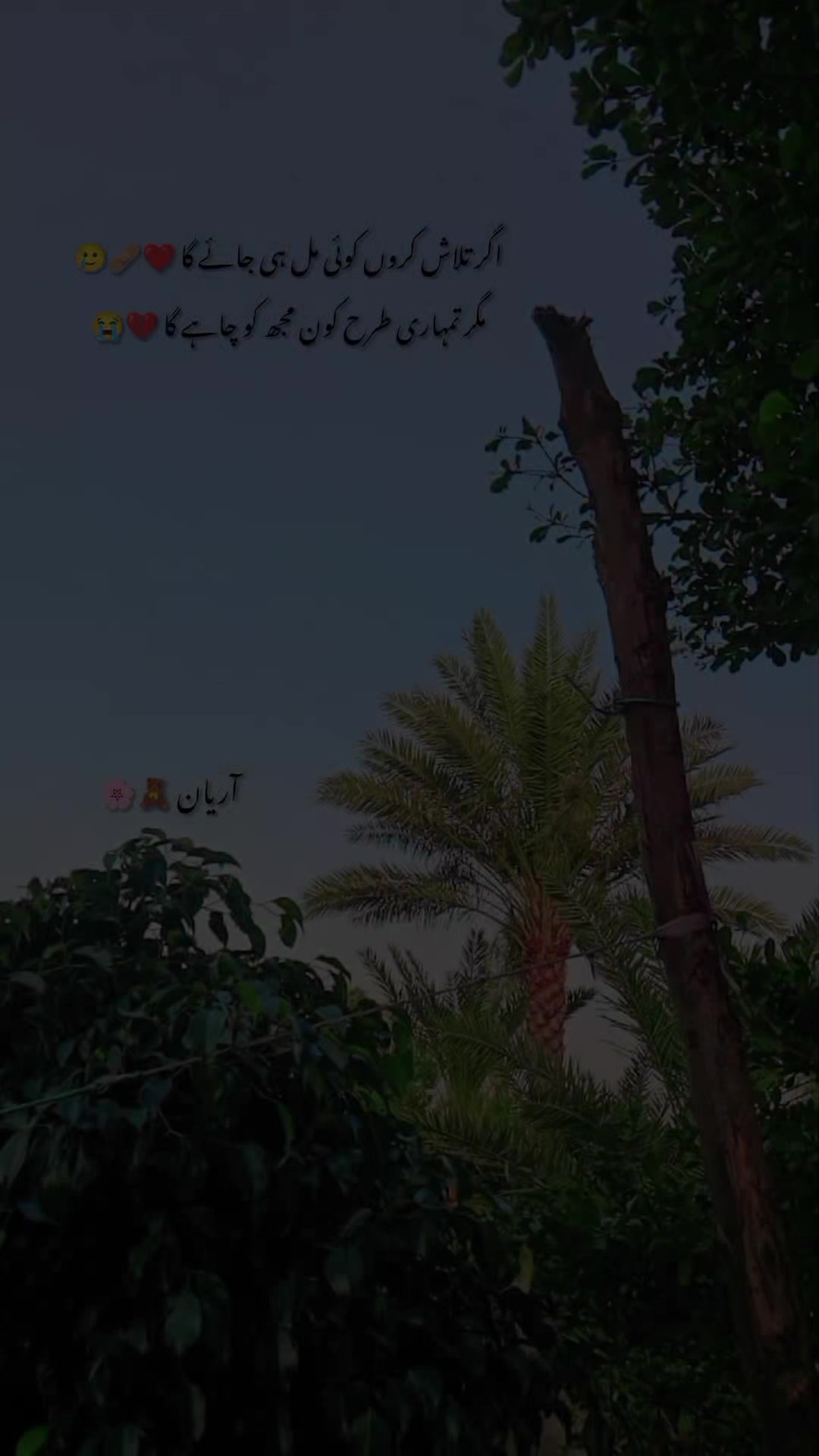 @آریان 💔
