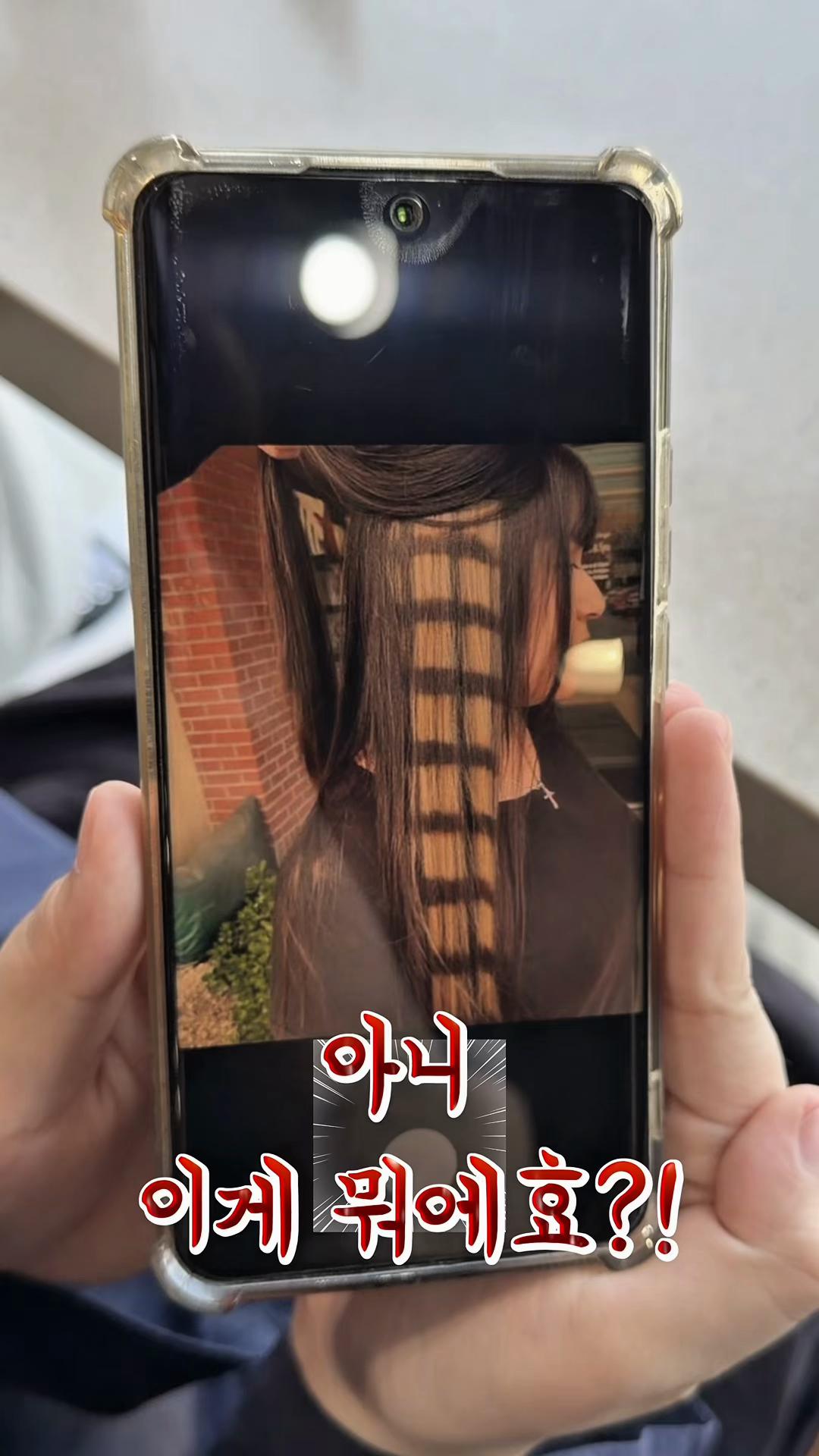 @Hailey 惠智 헤일리