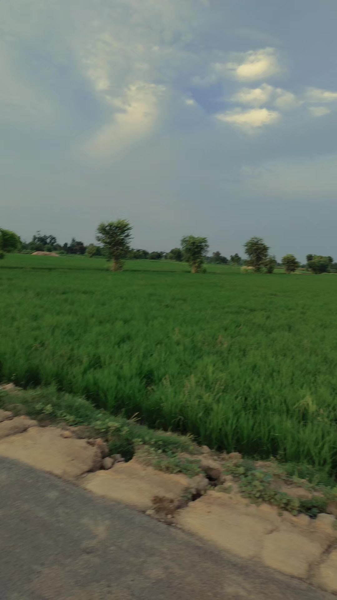 @Mehar Majo🇵🇰