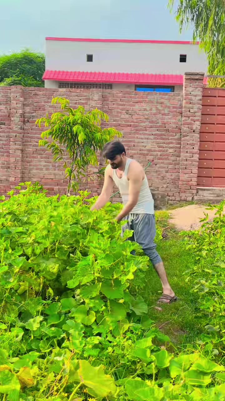 @Shahidaftab62