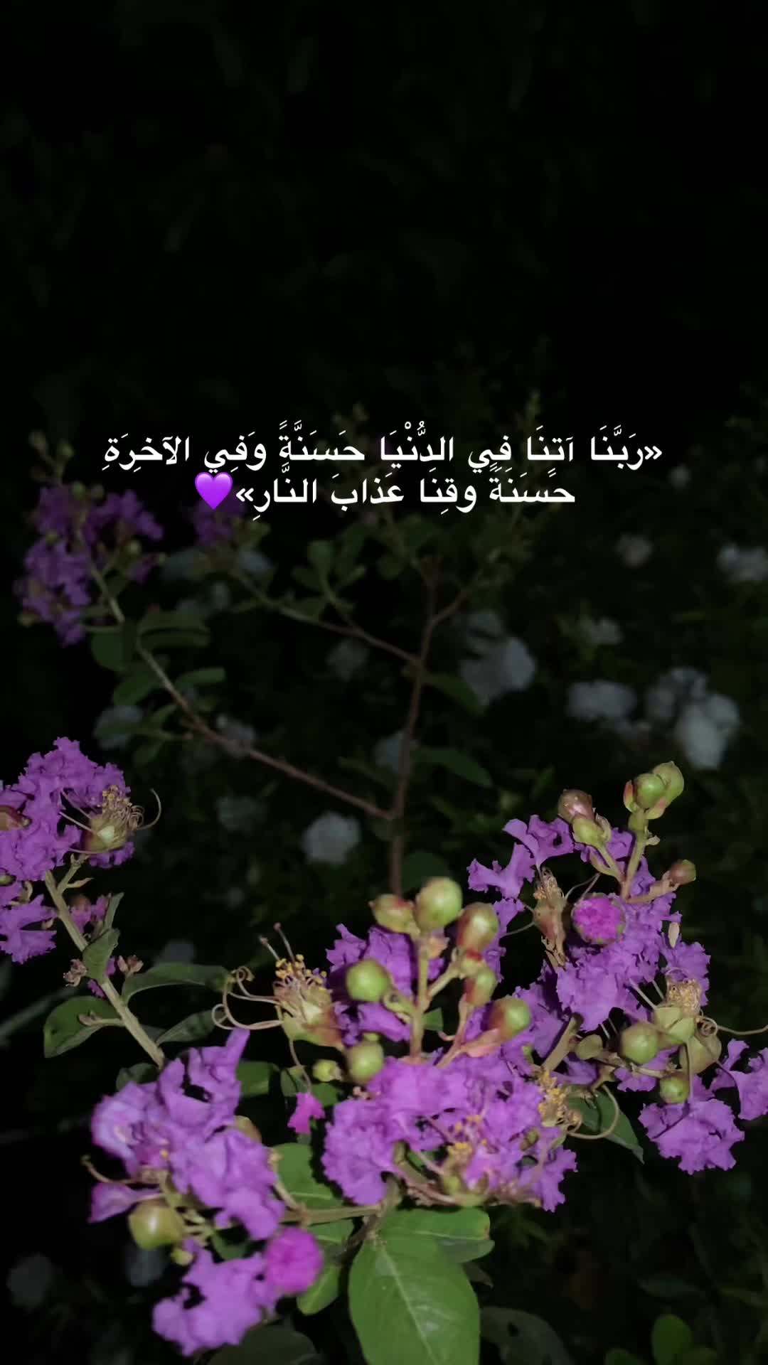 @♡ 