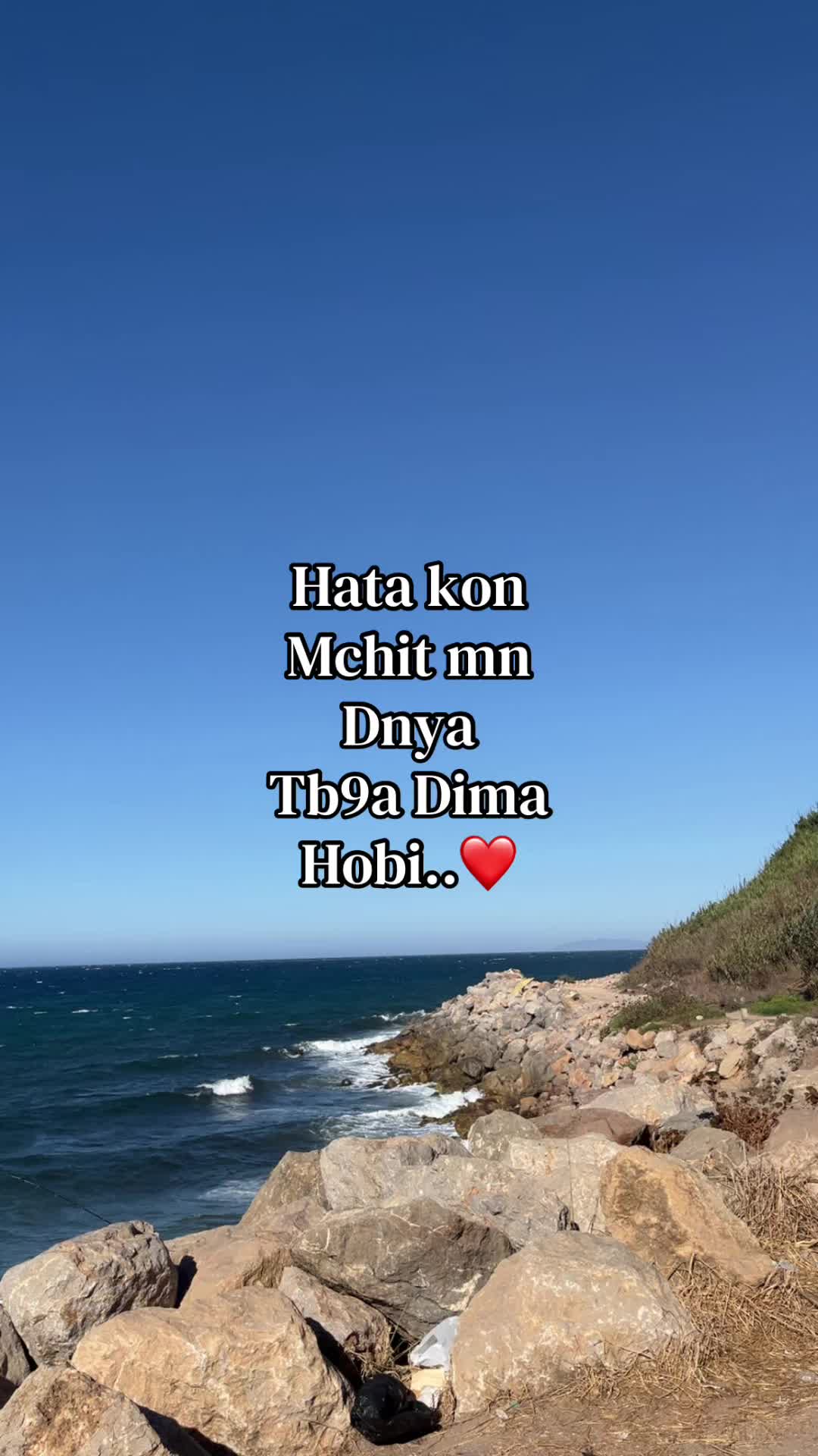 @𝓐𝓷𝓲 ꨄ︎