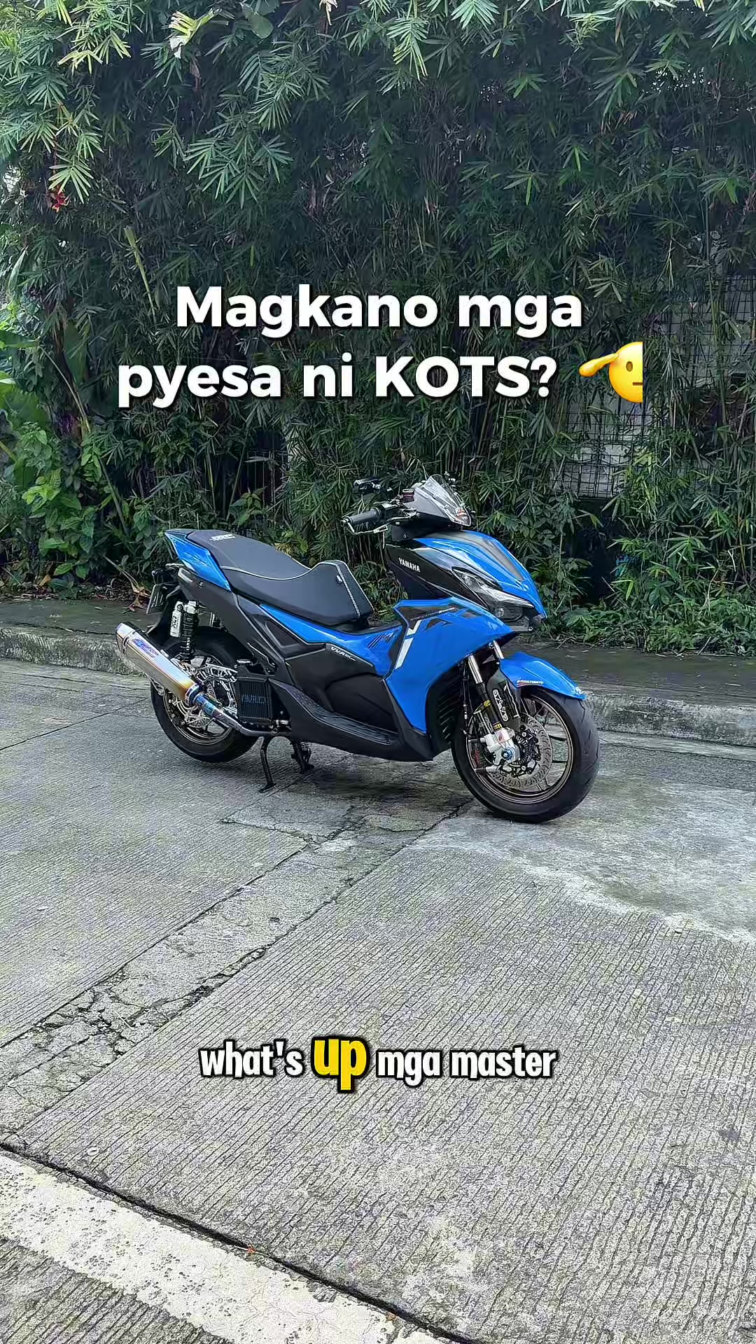 @kots_ton