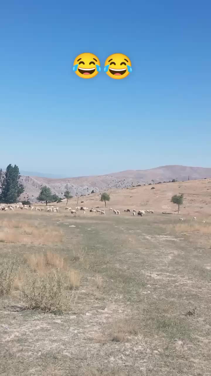 @Haşmet &Ccedil;etin