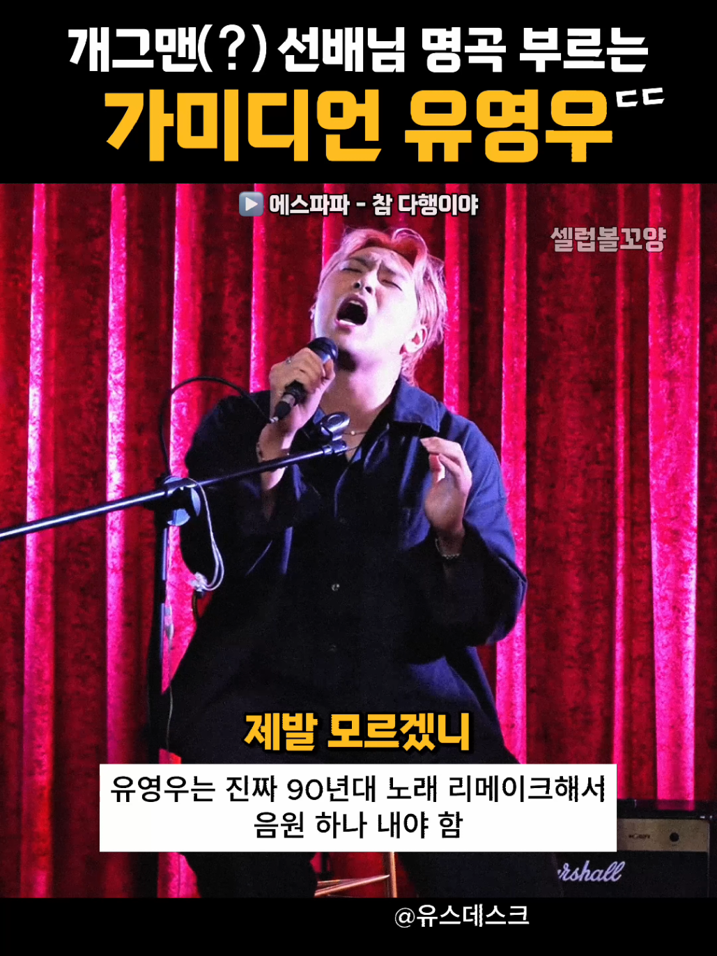 @셀럽볼꼬양