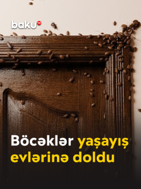 @baku.tv
