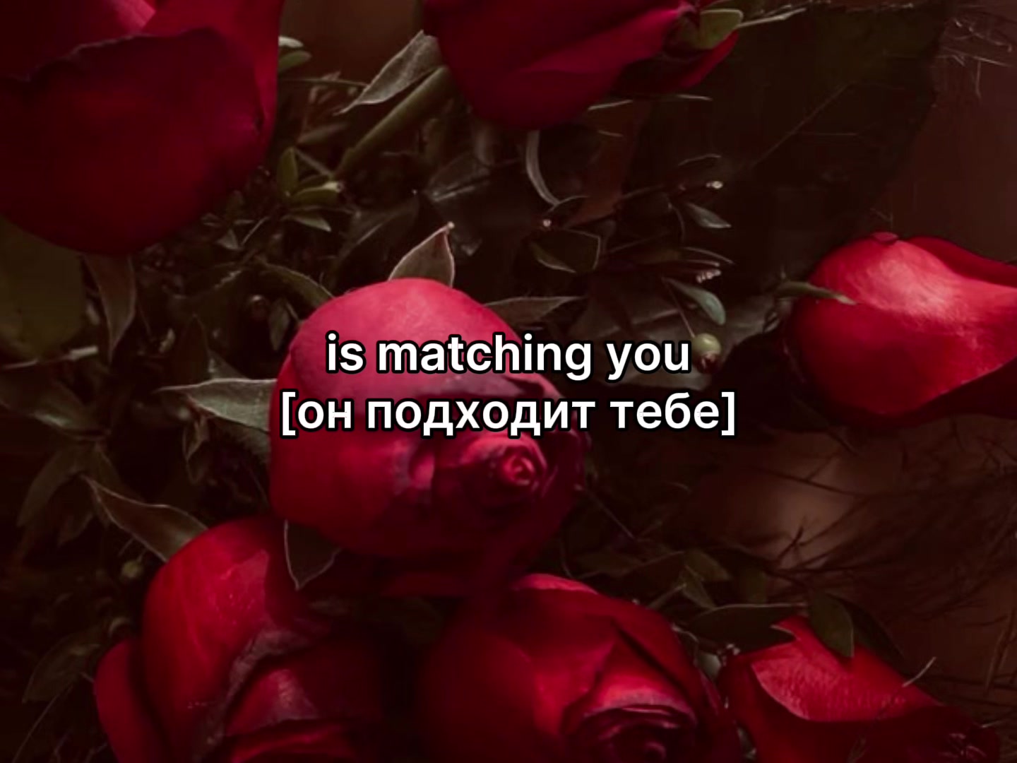 @Vivien