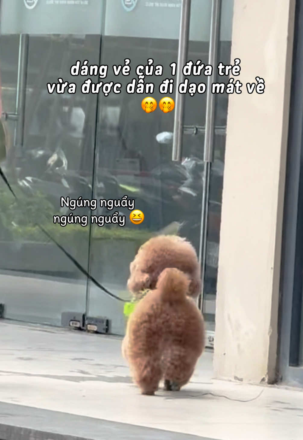 @Gia Đình AvocaBo
