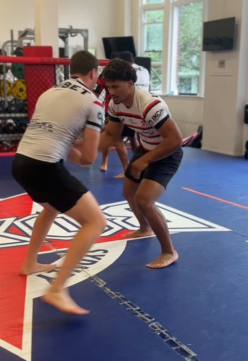 @Sports Grappling Systems