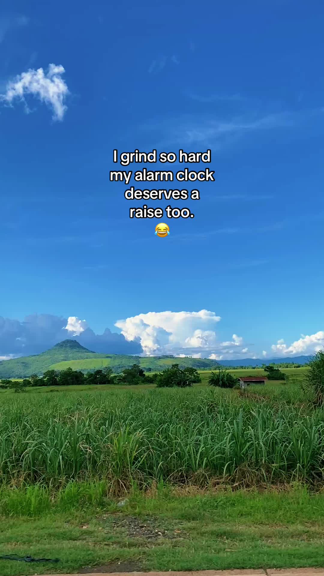@shise004