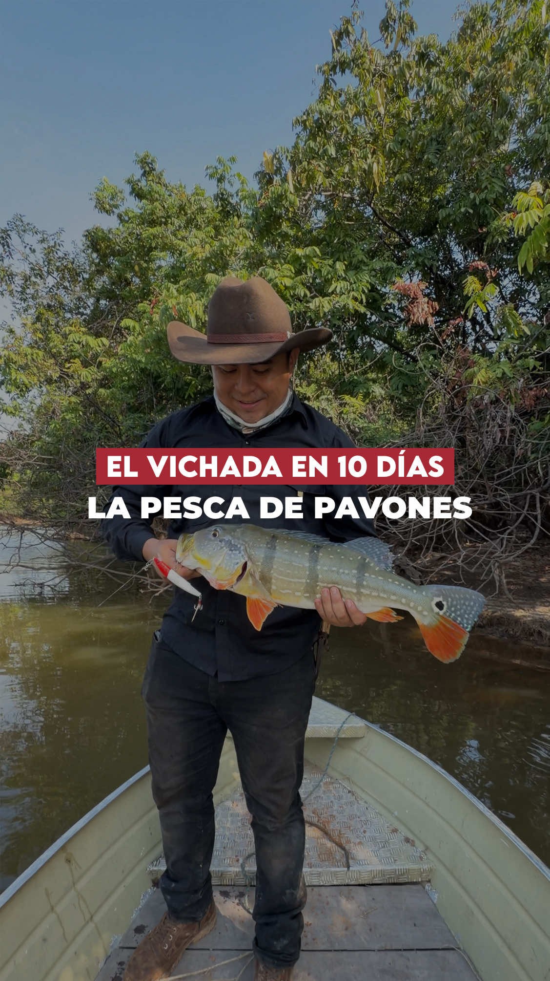 @Alexis Puerta