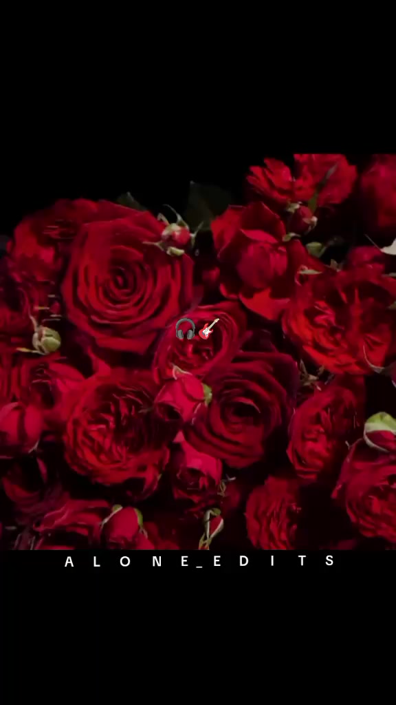 @🥀ᴵᴬᴹ ➳ALONE➳~♥~ 🥀